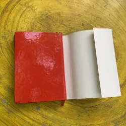  VIỆT NAM TRONG THẾ KỶ XX 748141