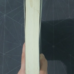 "Trăng sáng cố hương" - Lại Nhĩ 492903