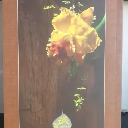 Thái Thượng Cảm Ứng Thiên Hội Biên - Đức Thái Thượng Lão Quân mới 90% 784625