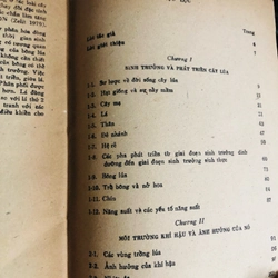NHỮNG KIẾN THỨC CƠ BẢN CỦA KHOA HỌC TRỒNG LÚA 528082