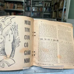 MÙA XUÂN BẢNG ĐEN VÀ PHẤN TRẮNG 561927