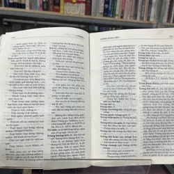 TỰ VỊ TIẾNG NÓI MIỀN NAM- VƯƠNG HỒNG SỂN 700994