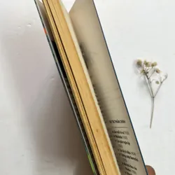 Bác sĩ Ai Bô Lít - Korney Chukovsky 597632