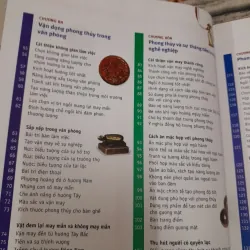 Phong Thủy để Thành công trong công việc và kinh doanh. Tg Lillian Too 577381