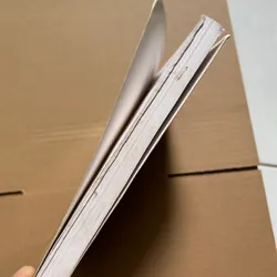 HUYỀN KÝ CỦA ĐỨC PHẬT TRUYỀN THEO DÒNG THIỀN TÔNG 687345