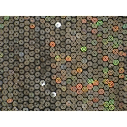 Áo khoác màu sắc - Hàng hiệu Authentic 878495