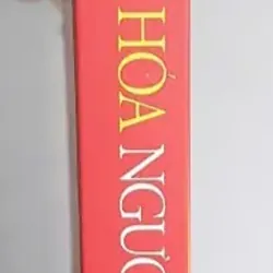 Văn Hóa Người Hoa Nam Bộ 655749