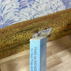 Tuyết Giữa Mùa Hè - Thiền sư Sayadaw U Jotika 931596