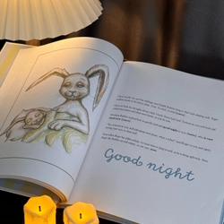 Sách bìa cứng The Rabbit Who Wants to Fall Asleep: A New Way of Getting Children to Sleep 305778