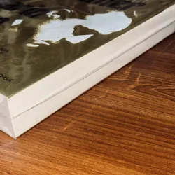 Bố già - Mario Puzo 568189