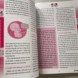 Giáo dục thai nhi và sinh con ưu việt 596639