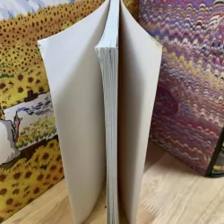 Tiếp Cận Thể Loại Văn Học Cổ Trung Quốc - Đinh Phan Cẩm Vân 731578