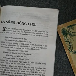 Hương nước hồn quê - Toan ánh 736585