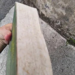 Về văn học dân gian xứ Nghệ của GS Ninh Viết Giao  1005726