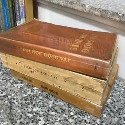 Bộ 3 cuốn: Sinh học thực vật, sinh học động vật, khuyết thực vật 1059096