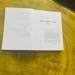 BÔNG HỒNG VÀNG VÀ BÌNH MINH MƯA- K. PAUTOPSKY 539545