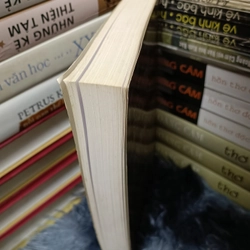 Bùi Giáng trong cõi người ta 477747