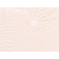 Áo dài truyền thống - Hàng hiệu Authentic 876071