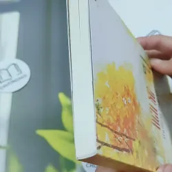 Bến Xe - Thương Thái Vi 744709