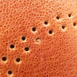 Túi xách Cartier Marcello L1000834 - Hàng hiệu Chính hãng 805054