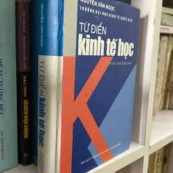 Từ điển kinh tế học 997329