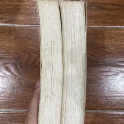 Phế đô bộ 2 tập - Giả Bình Ao (18) 716559