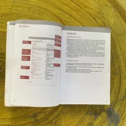 MASTERING SPANISH VOCABULARY- BARRON’S 1029356