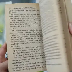 Full Speed - Janet Evanovich & Charlotte Hughes 1027580