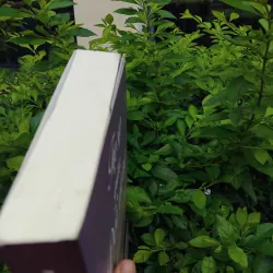 Tự sự giữa đôi dòng - Tuyển tập tác phẩm PGS TS Phạm Tú Châu  997349