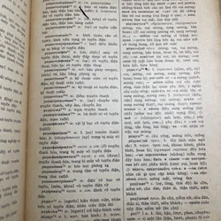 Từ điển Nga Việt XB 1977 706024