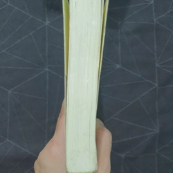 "Thái tử phi thăng chức ký" (tập 1) - Tiên Chanh 538922