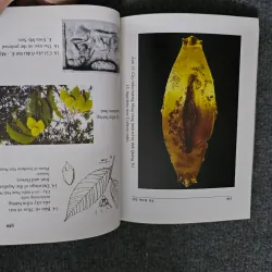 Cổ vật huyền bí 745643