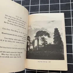 Tiếng hát Xuân Hương 601751