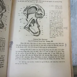 SẢN KHOA - BÁC SĨ: ĐẶNG HOÁ LONG 592052