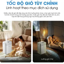 Máy hút ẩm Kalite DrySense-A6 738309