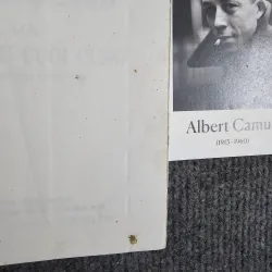 Diana và tình yêu cuối cùng 973174