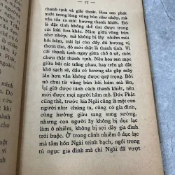 THÂM Ý QUA HÌNH TƯỢNG PHẬT BỒ TÁT - THANH TỪ 929620