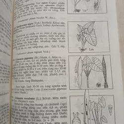 CÂY CỎ VIỆT NAM (QUYỂN I, II, III) - PHẠM HOÀNG HỘ 740112