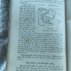 Phẫu thuật thực hành - HOÀNG ĐÌNH CẦU ; 380 trang khổ lớn; Xb 1966  1025094