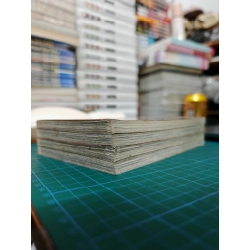 Truyện tranh hoàng tử ếch 465550