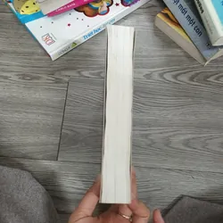 Biển Và Chim Bói Cá -  Bùi Ngọc Tấn 646783