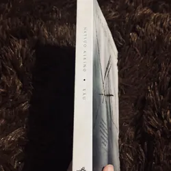 Xấu - Natsuo Kirino 716894