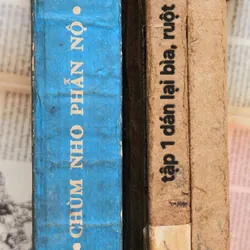 Tác phẩm kinh điển của John Steinbeck: CHÙM NHO PHẪN NỘ 705289