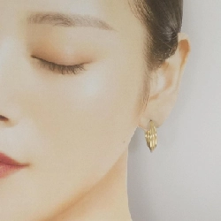 K10YG Bông tai - Hàng hiệu Chính hãng 868149