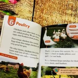 Oxford read and discover (Sách nhập) - Level 2 - 20 quyển + File Mp3 1038347