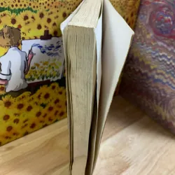 Tính Lưỡng Phân Trong Truyện Kiều - Trương Minh Đức 926379