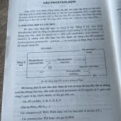 Dược lý học , gần 600 trang, khổ lớn  796441