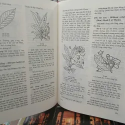 CÂY CỎ CÓ ÍCH Ở VIỆT NAM (TRỌN BỘ) - Võ Văn Chi 528968