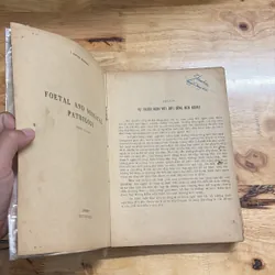 II Sách Y: Bệnh Học _ Bào Thai Và Sơ Sinh (Tập 2) - J. EDGAR MORISON - 1979 682253