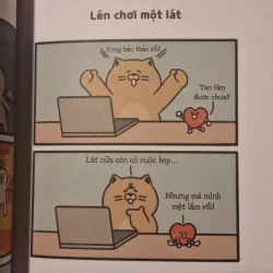 Combo Văn phòng Động Vật Năm tháng đằng đãng chẳng có ngày nào thích hợp đi làm 933171